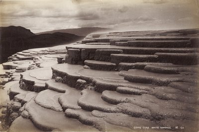 Kávéscsészék, Fehér terasz, 1885. január (albumnyomat) alkotó: George Dobson Valentine